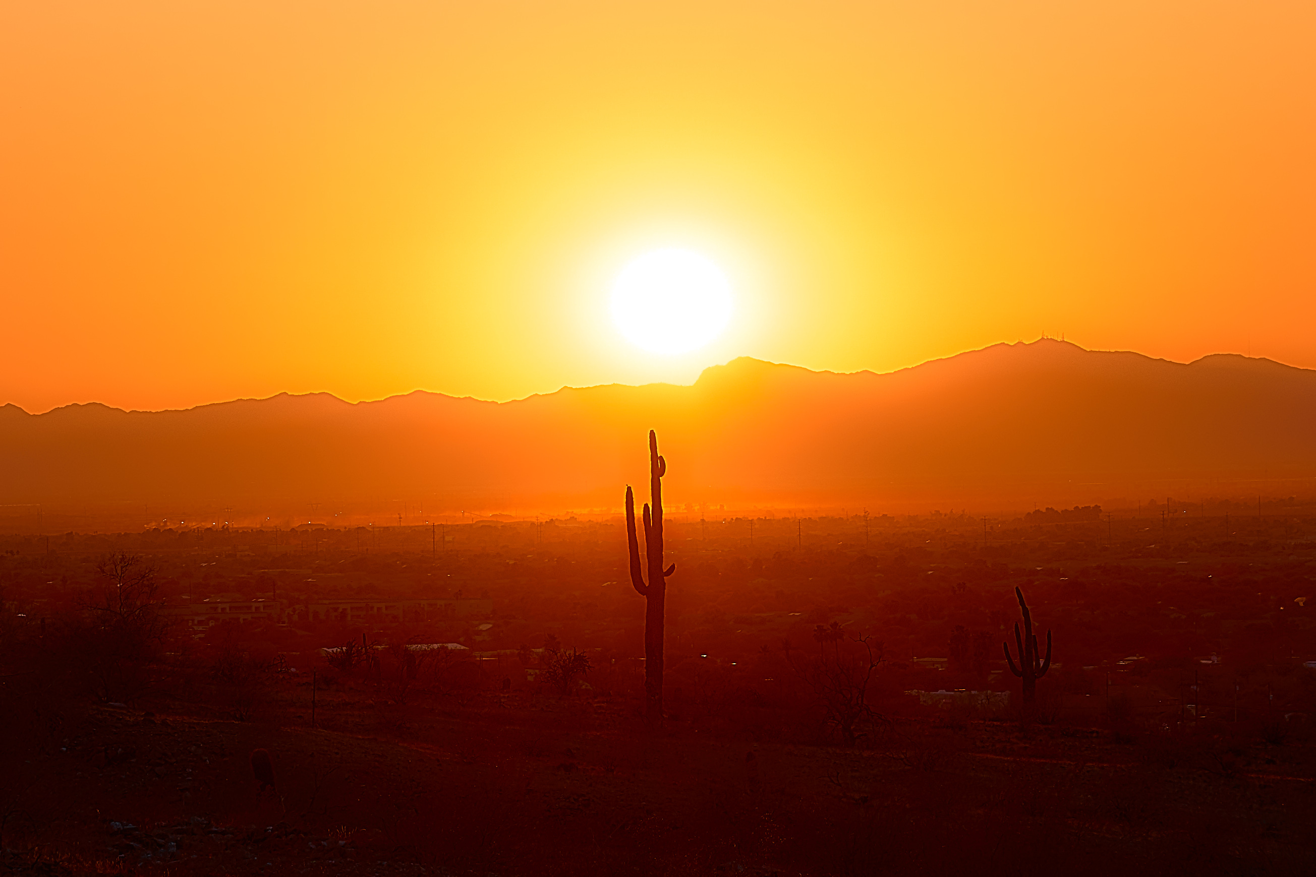 Phoenix 2025